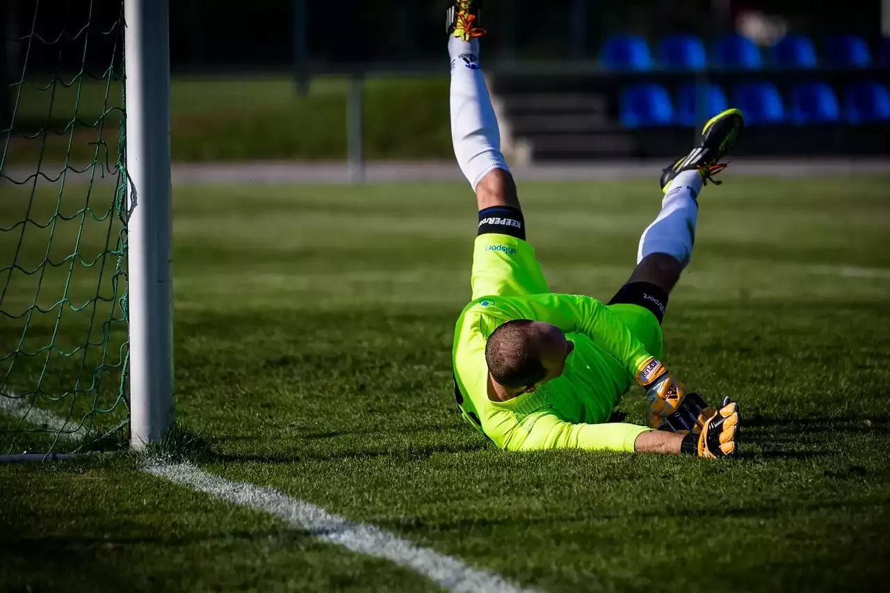 I palloni FIFA e palloni diversi